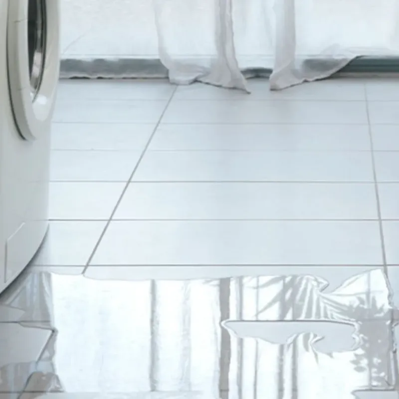 Appliance Leak Cleanup in Rancho Palos Verdes, CA